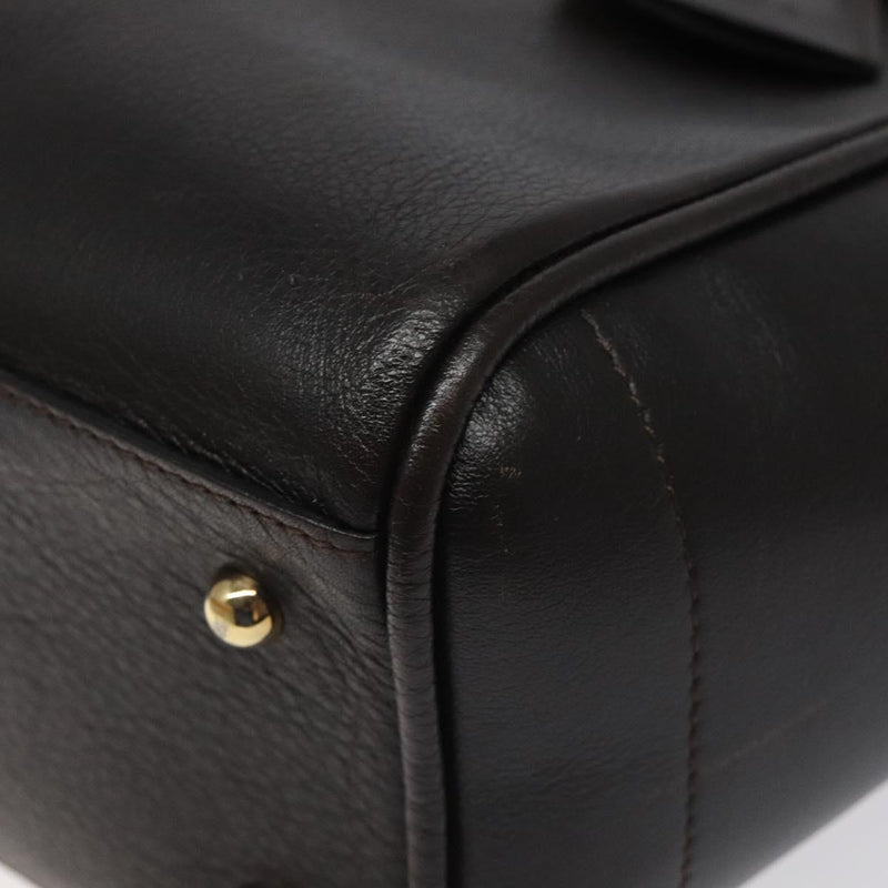 LOEWE Tote Bag Leather Dark Brown gold Auth 120929
