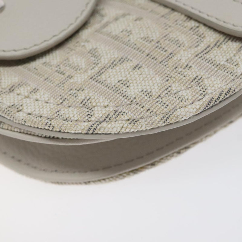 Christian Dior Trotter Canvas Saddle Clutch Bag White Silver Auth bs24225